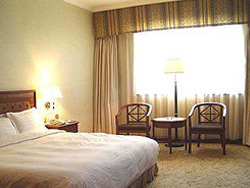 Gloria Plaza Hotel Rooms